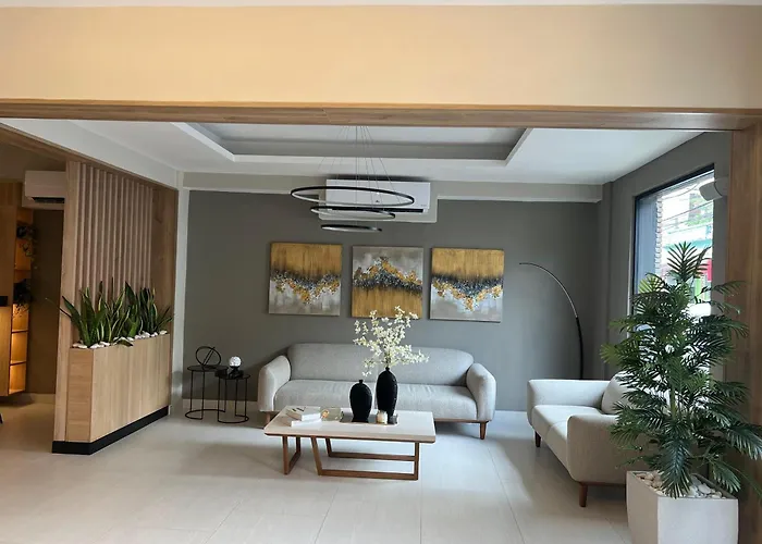 Apartamentos Roman